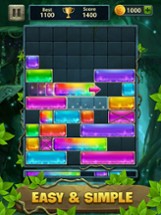 Block Drop Puzzle Jewel Image