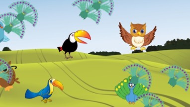 Flying Birds Match Games for Toddlers and Kids : discover the bird species ! FREE app Image