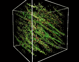 3D Boids #Exp 13 Image