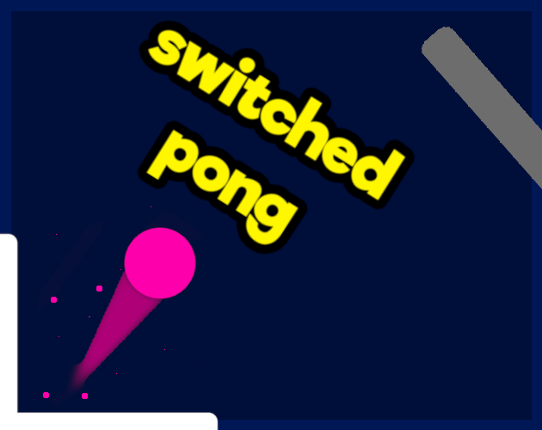 Switched Pong Game Cover