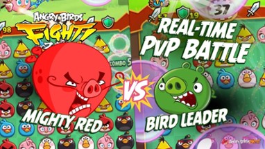 Angry Birds Fight! Image