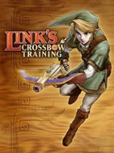 Link's Crossbow Training Image