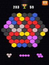 Hexa Puzzle - Block Puzzle Pro Image