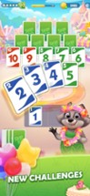 Skip-Bo Image