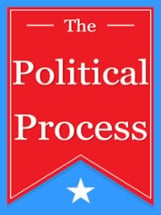 The Political Process Image