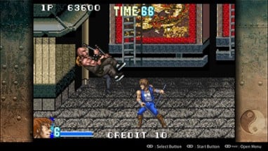 Double Dragon Advance Image