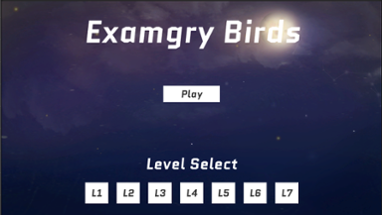 Examgry Birds Image