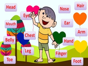 Learn Body Parts English Image