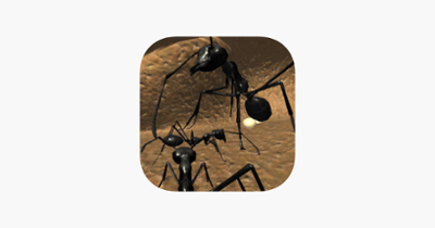 Ant Simulation Full Image