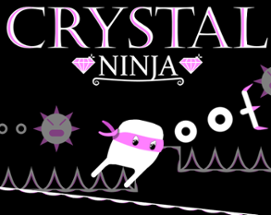 Crystal Ninja Image