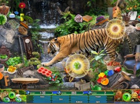 Hidden Objects Animal Kingdom Image