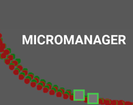 Micromanager Image