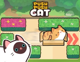 Push Push Cat Image