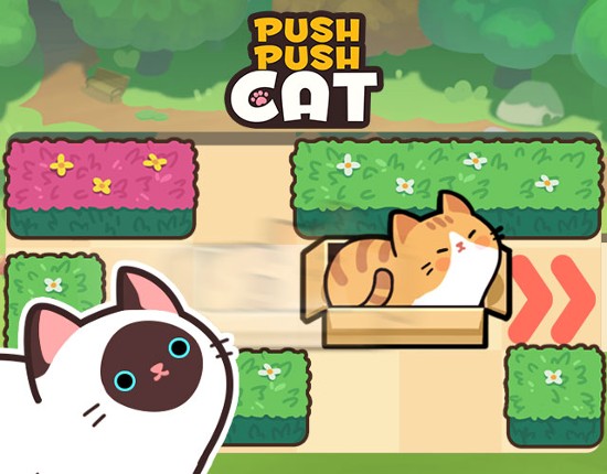 Push Push Cat Game Cover