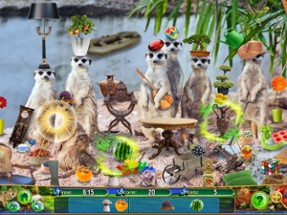 Hidden Objects Animal Kingdom Image