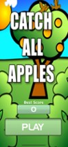 Catch all apples Image