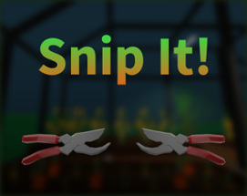 Snip It! Image