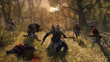 Assassin's Creed III Image