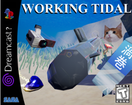 WORKING TIDAL Image