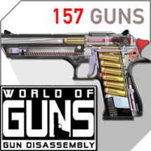 World of Guns Image