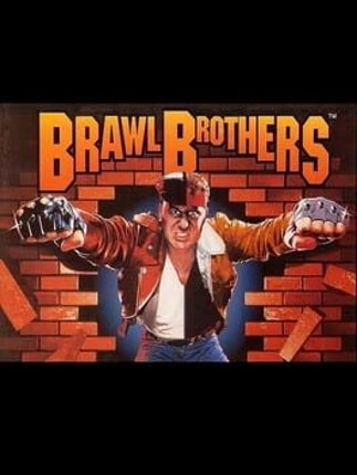 Brawl Brothers Game Cover