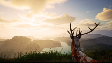 Deer Journey Image