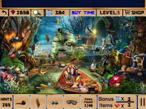 Hidden Objects:The Dangerous Hunt Hidden Object Image