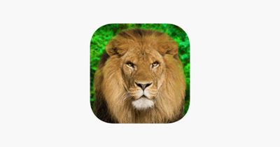 Animal Kingdom - Quiz Game Image