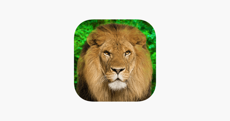 Animal Kingdom - Quiz Game Game Cover