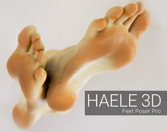 HAELE 3D - Feet Poser Pro Game Cover