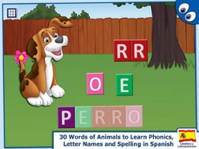 Spanish Words and Kids Puzzles Image
