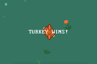 SUPER TURKEY BOY Image