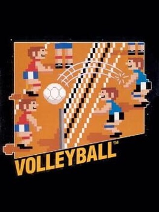 Volleyball Game Cover