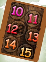 Wooden Puzzle Collection Image