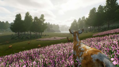 Deer Journey Image