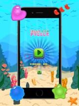 Jelly Fun Puzzle Matching Three: Free Match 3 Game Image