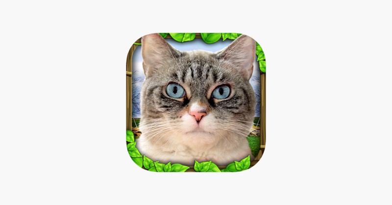 Stray Cat Simulator Game Cover