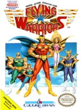 Flying Warriors Image