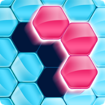 Block! Hexa Puzzle™ Image