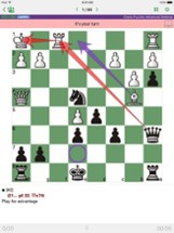 Mate Escape. Chess Puzzles Image