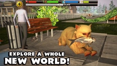 Stray Cat Simulator Image