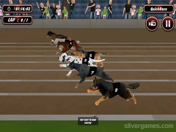 Crazy Dog Racing Simulator Games 3D Game Cover