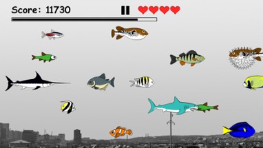 Hungry Fish Evolution Image