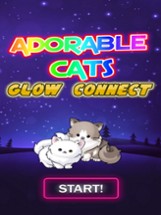 Adorable Cats glow connect Image