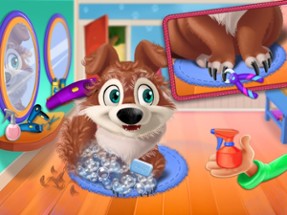 Cute Animal Day Care Image