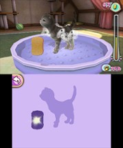 Pet Inn 3D Image