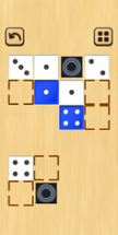Rolling Riddles - Puzzle Games Image