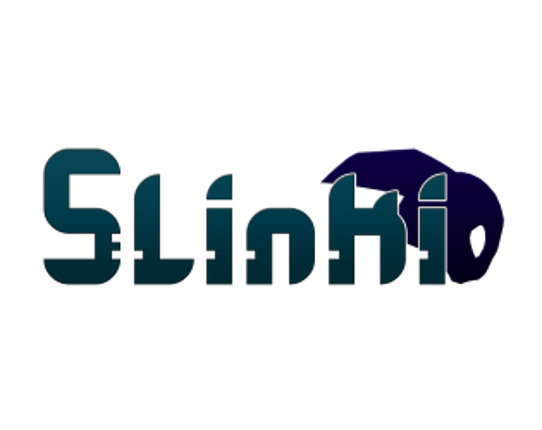 Slinki Game Cover