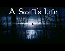 A Swift's Life Image