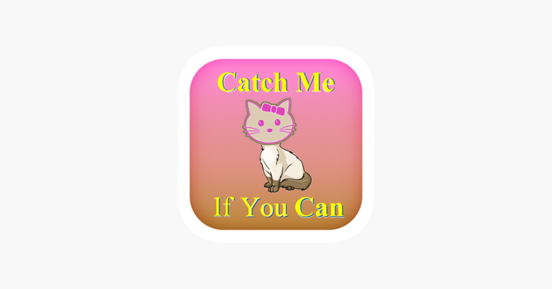 Catch Me if You Can?? Game Cover